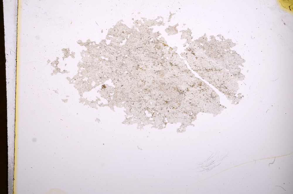 Plane Polarized, E4560