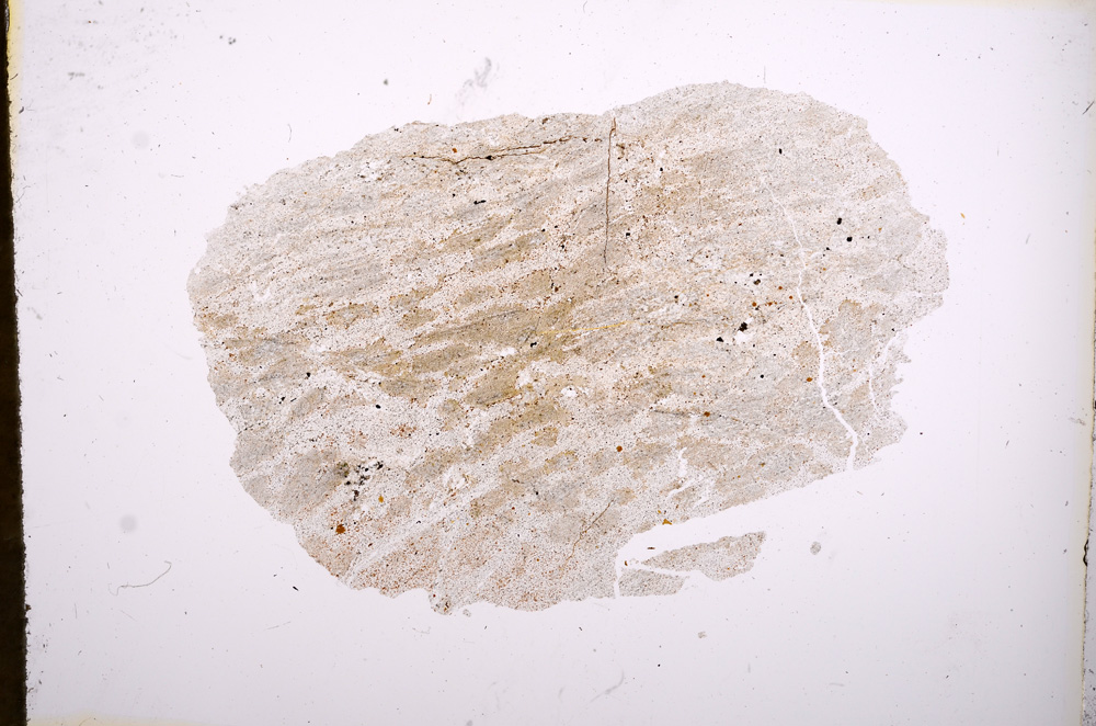 Plane Polarized, E4564
