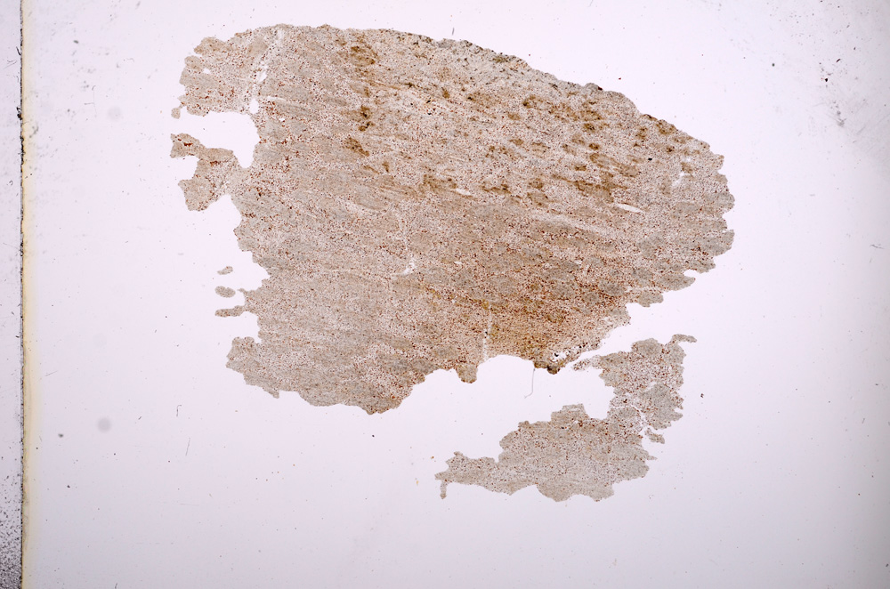 Plane Polarized, E4565