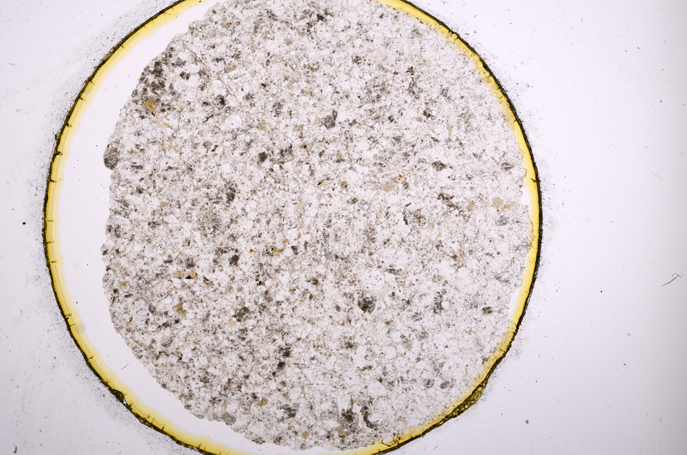 Plane Polarized, E4579