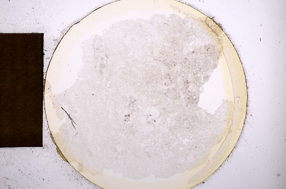 Plane Polarized, E4592