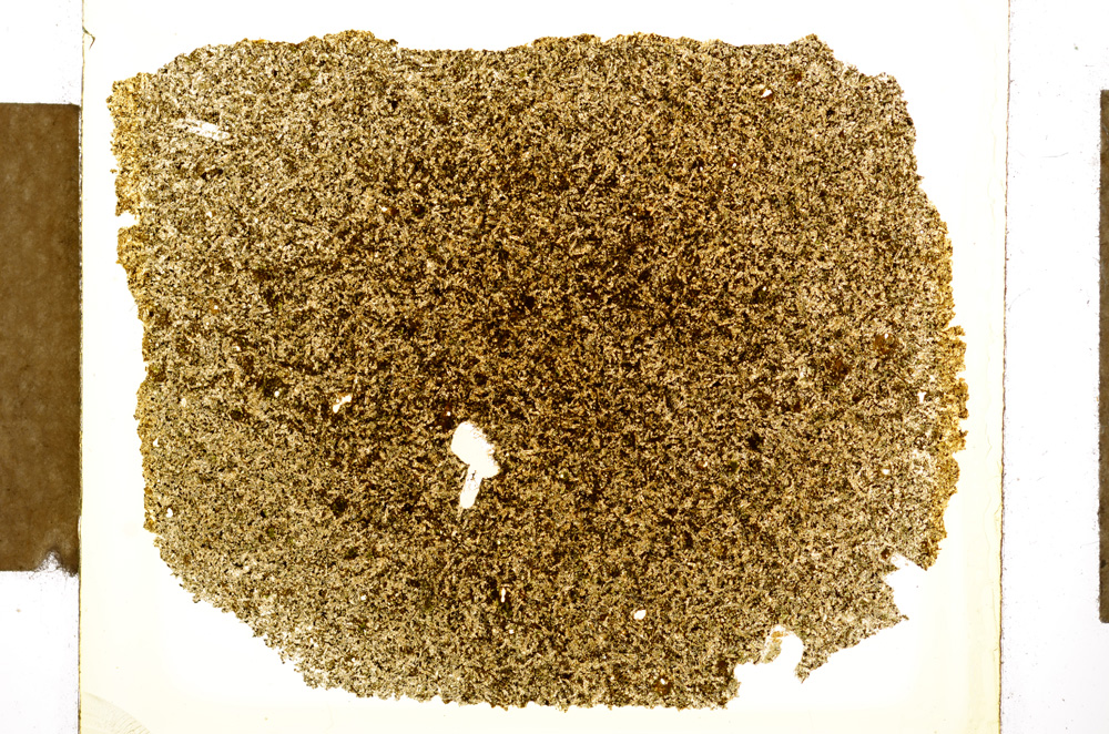Plane Polarized, E4625