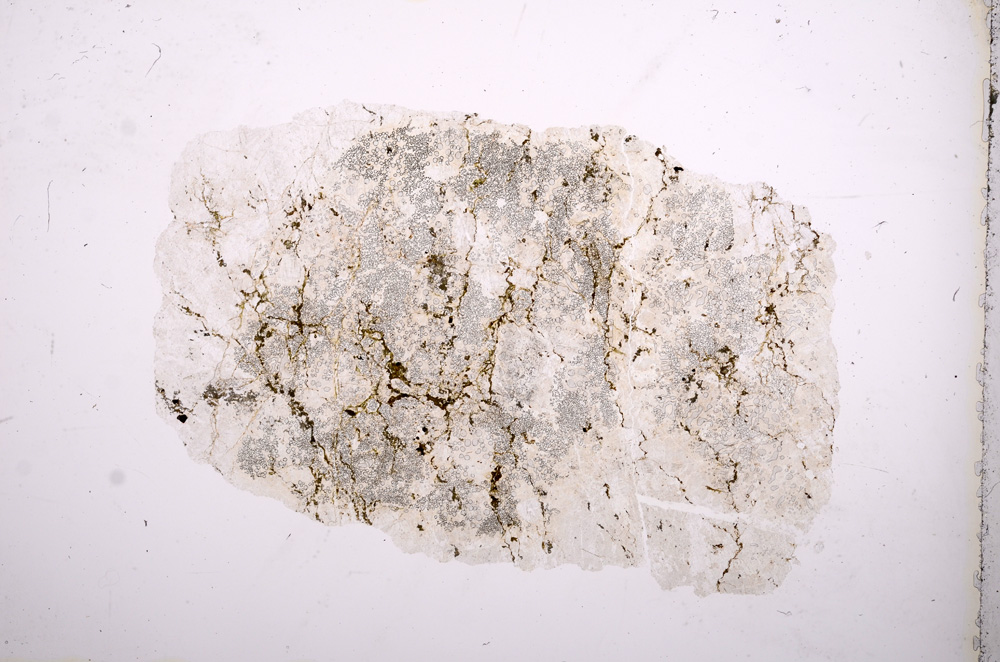 Plane Polarized, E4636