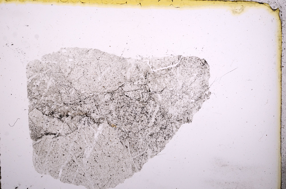 Plane Polarized, E4654