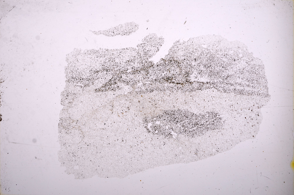 Plane Polarized, E4679