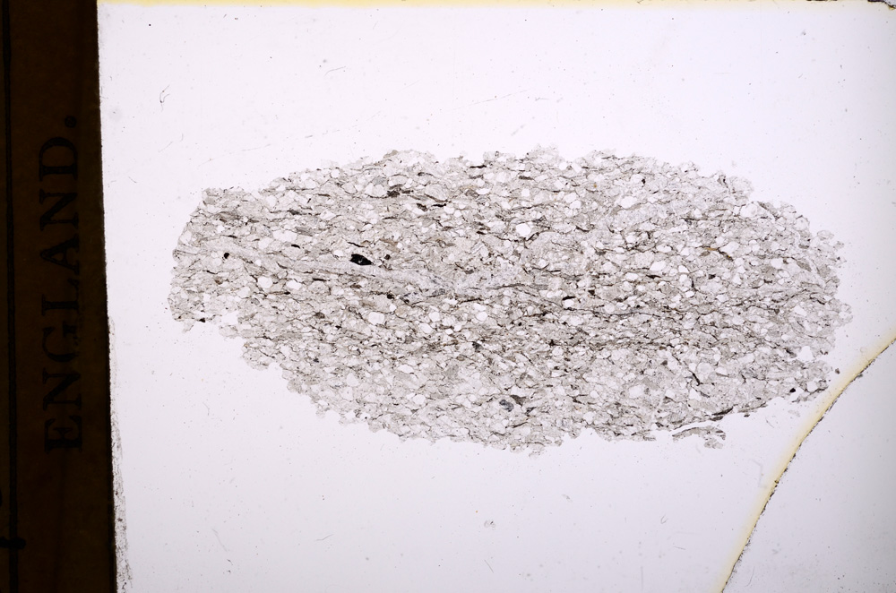 Plane Polarized, E4692