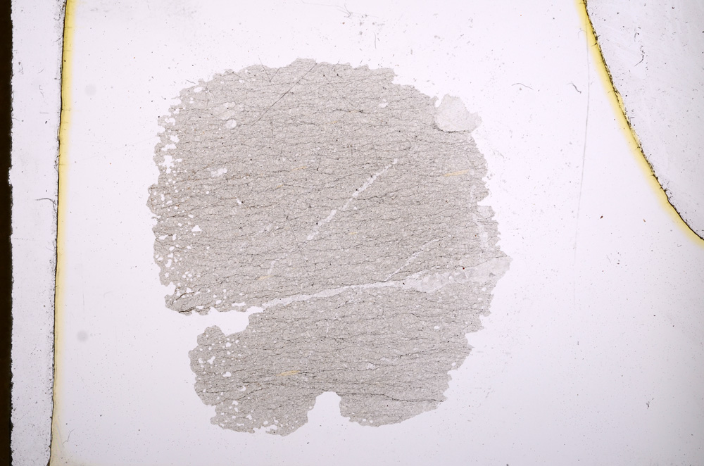 Plane Polarized, E4694