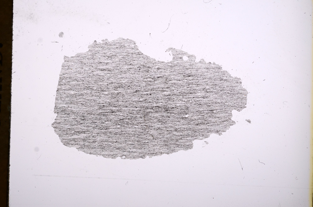 Plane Polarized, E4703