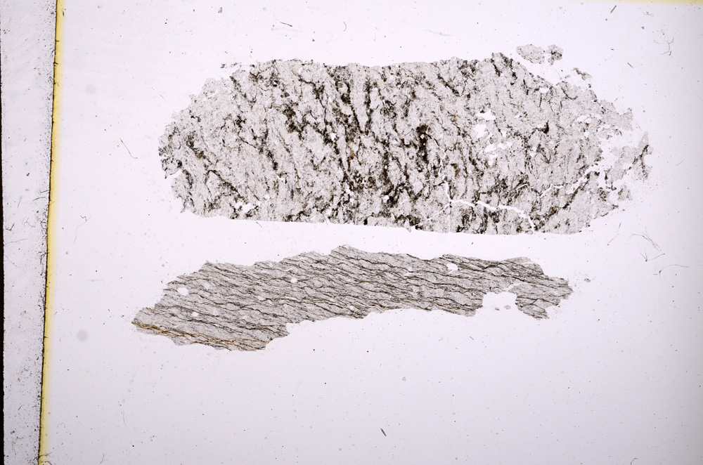 Plane Polarized, E4704