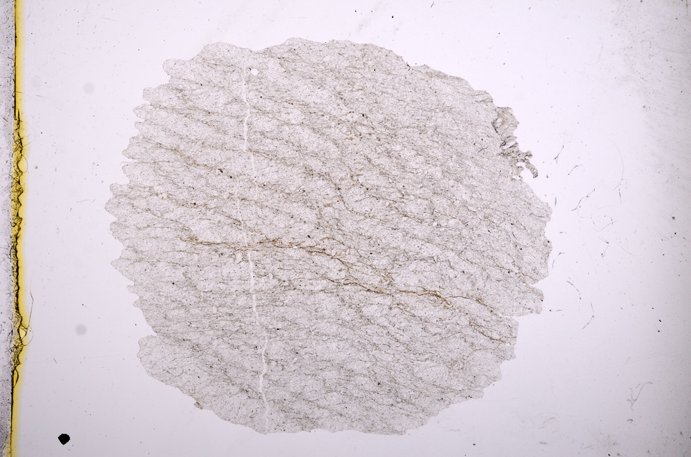 Plane Polarized, E4714