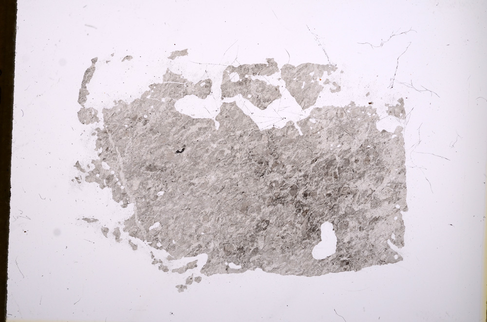 Plane Polarized, E4717