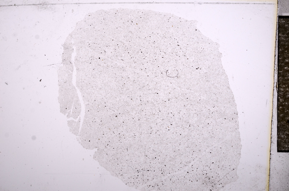 Plane Polarized, E4718