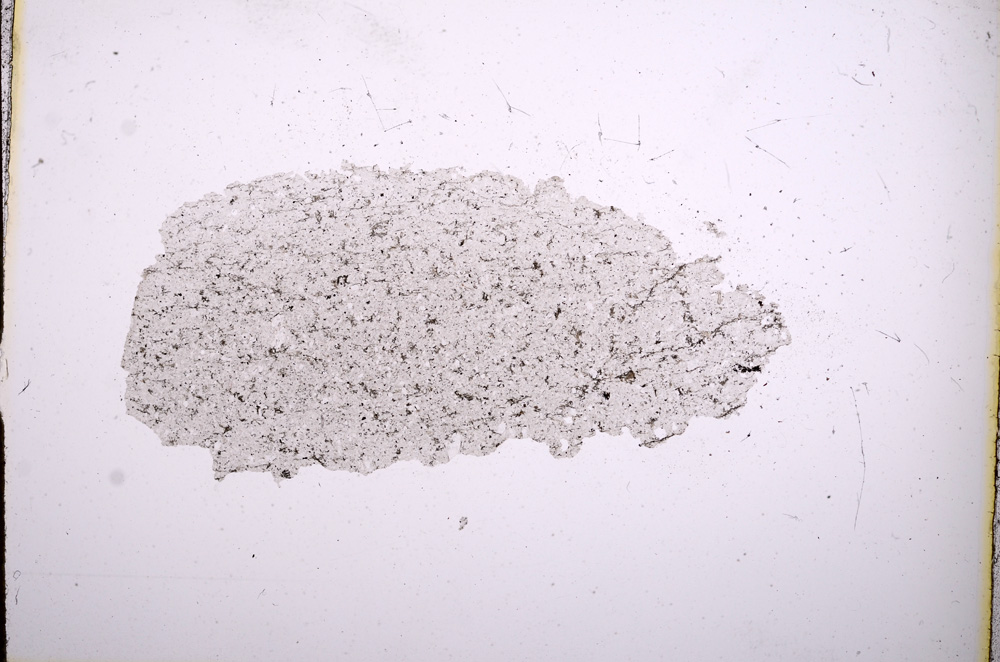 Plane Polarized, E4719