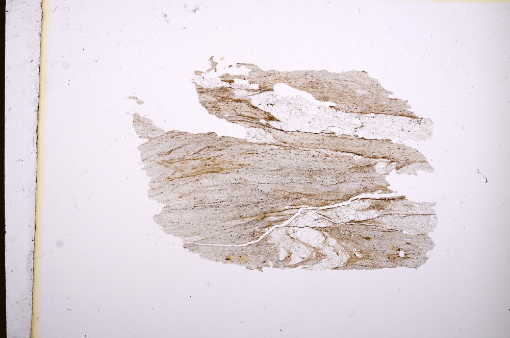 Plane Polarized, E4742