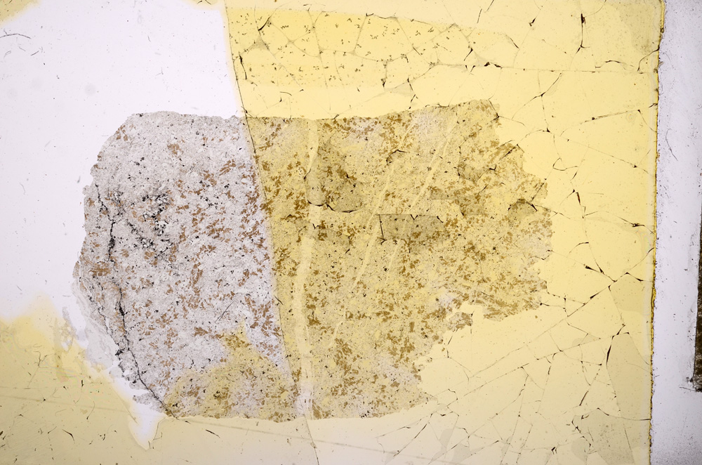 Plane Polarized, E4783