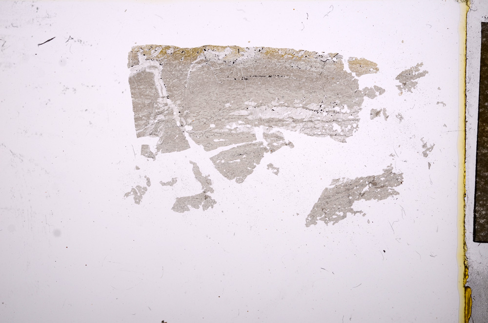 Plane Polarized, E4785