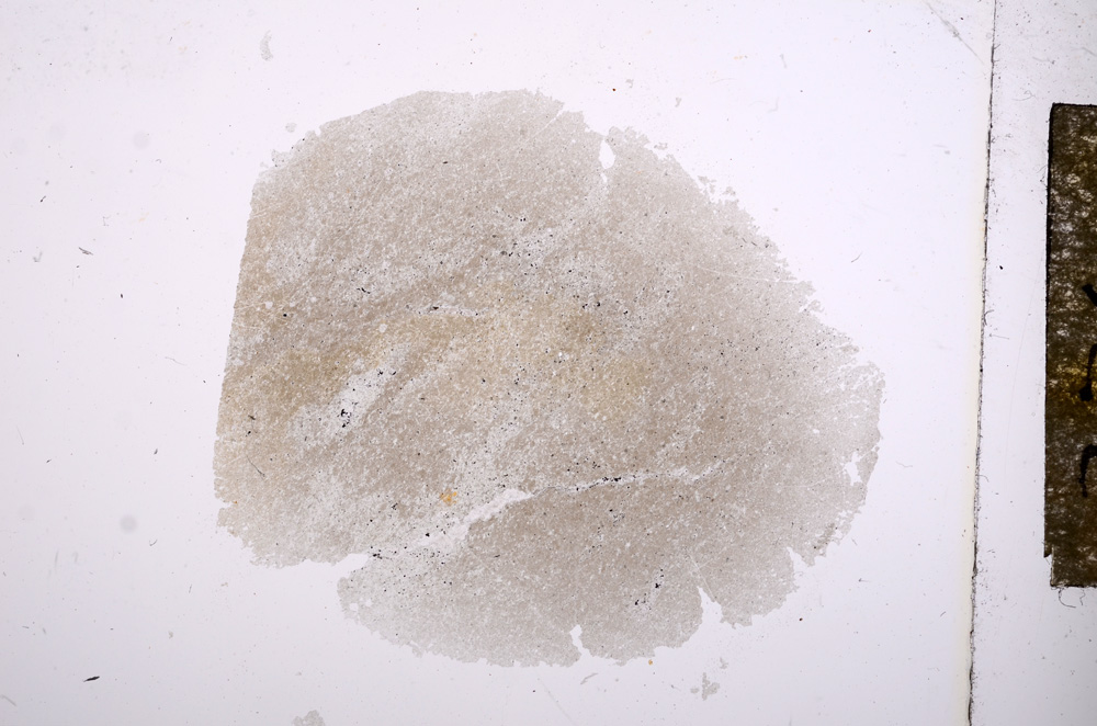 Plane Polarized, E4786