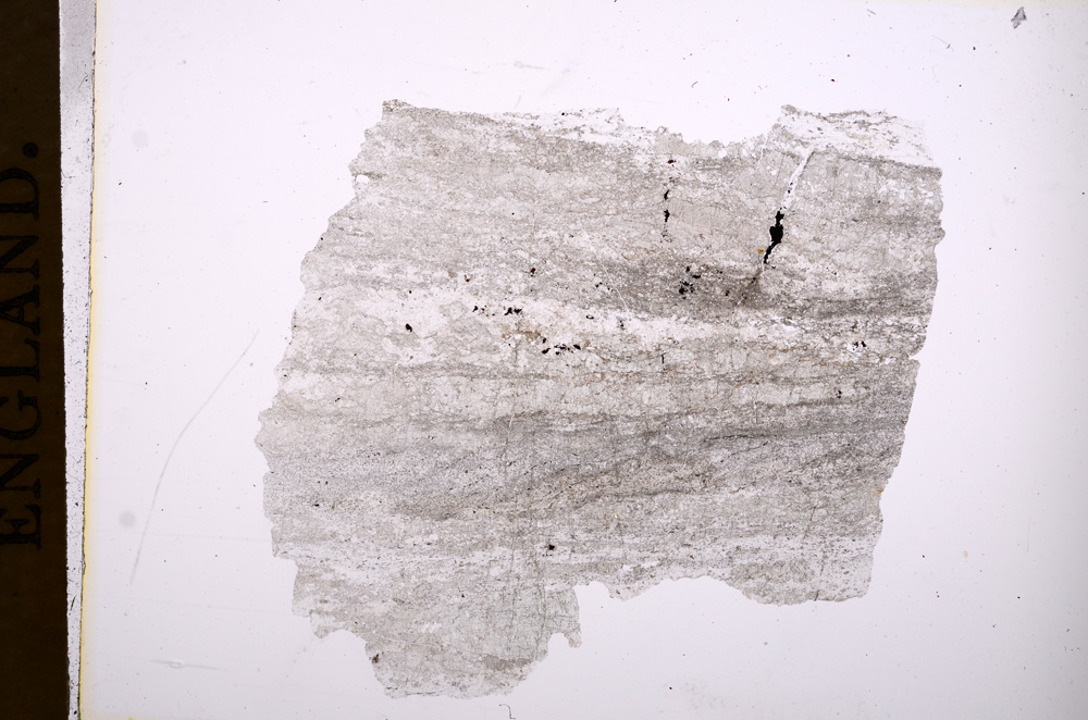 Plane Polarized, E4796