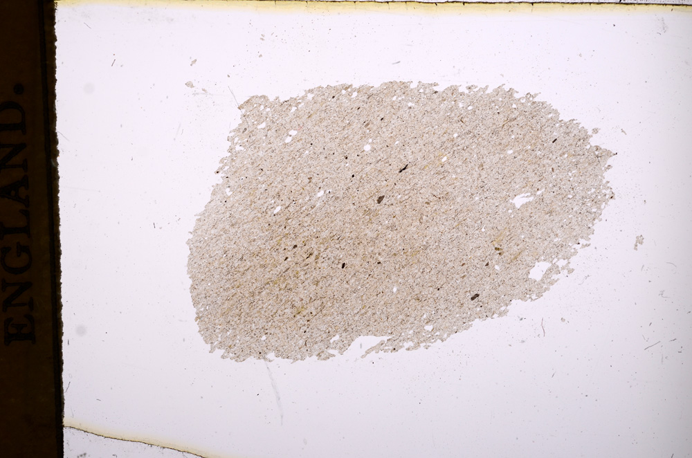 Plane Polarized, E4812