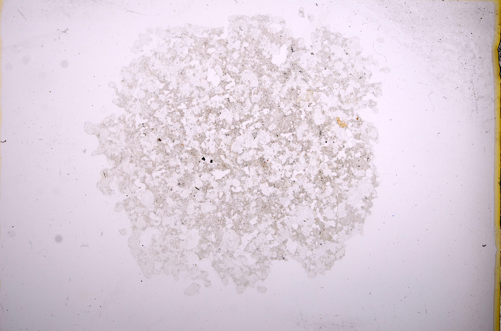 Plane Polarized, E4841