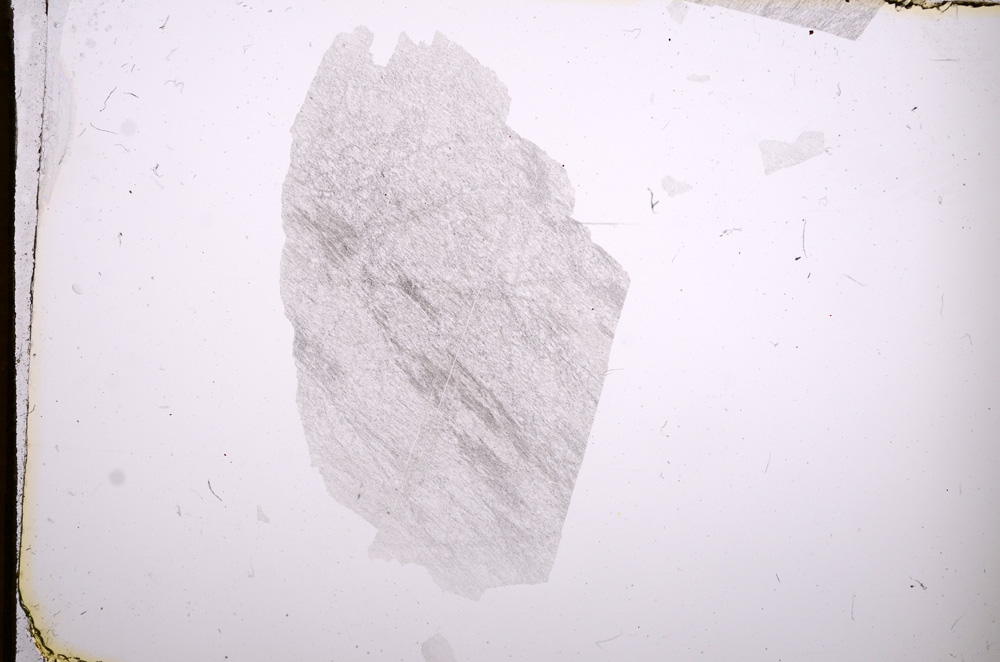 Plane Polarized, E4844