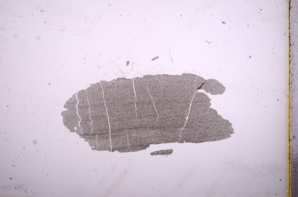 Plane Polarized, E4873