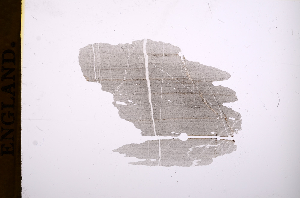 Plane Polarized, E4874