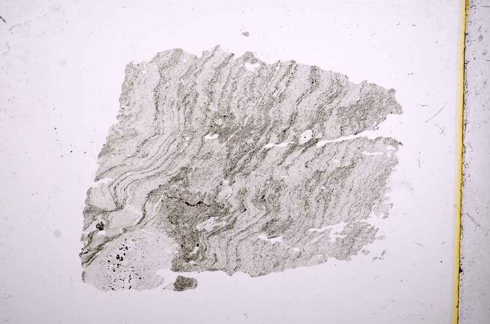 Plane Polarized, E4898