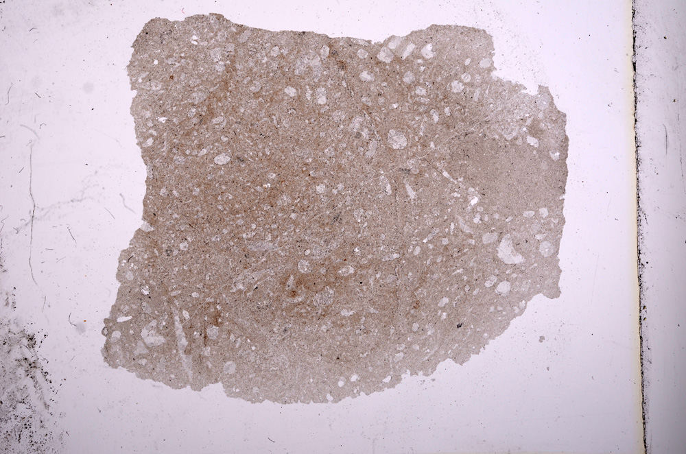 Plane Polarized, E4937
