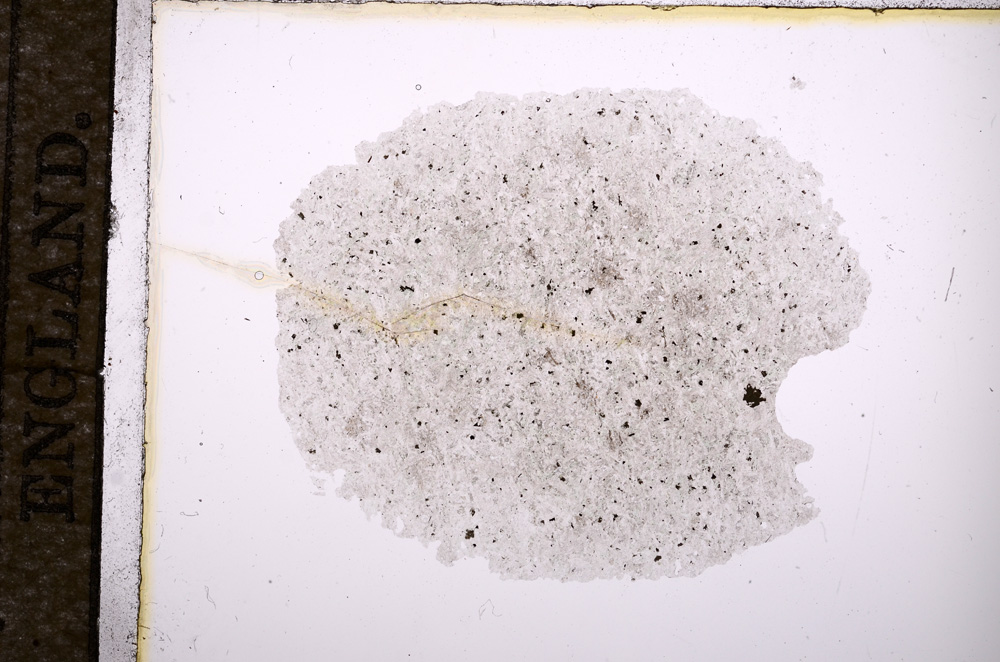 Plane Polarized, E4946