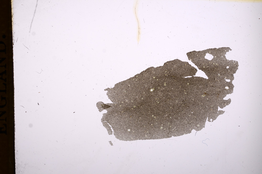 Plane Polarized, E4948