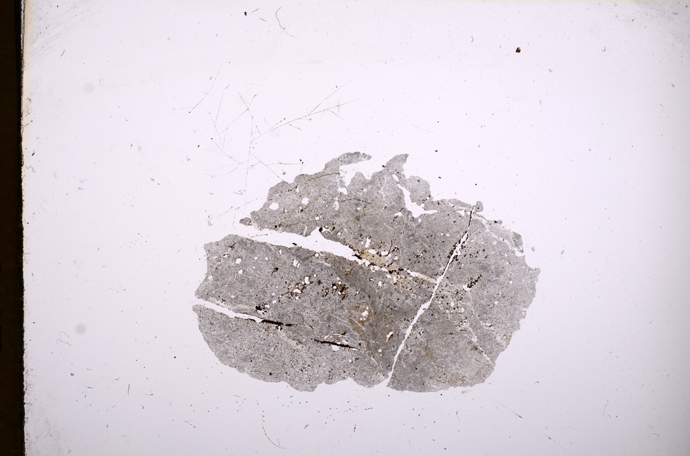 Plane Polarized, E4966