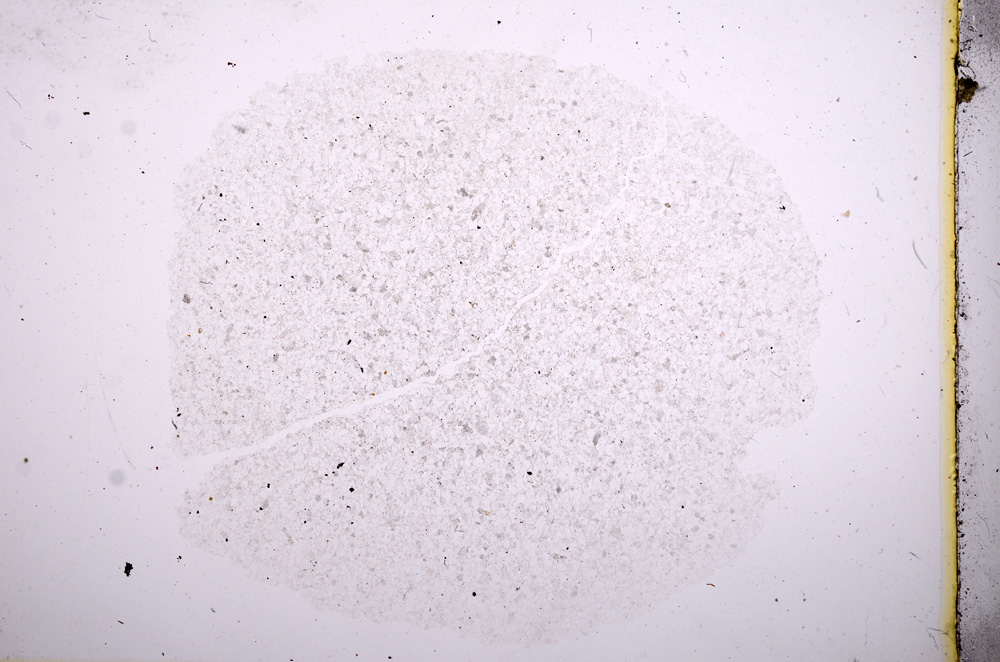 Plane Polarized, E4977