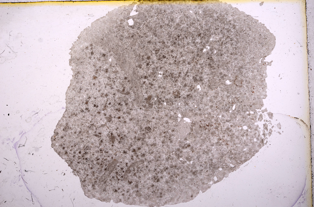 Plane Polarized, E4991
