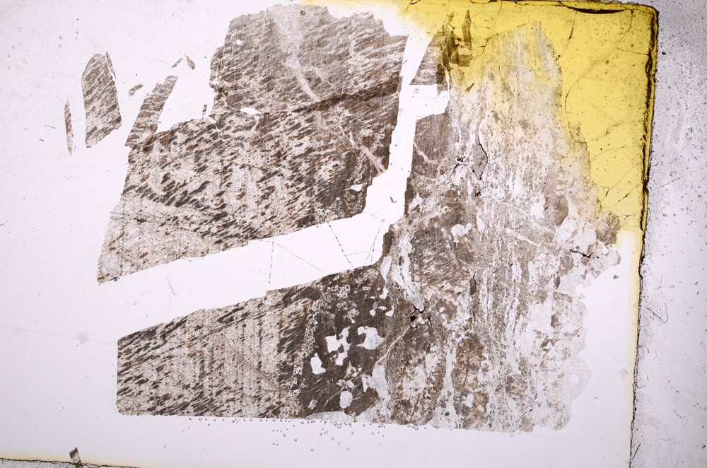 Plane Polarized, E5023