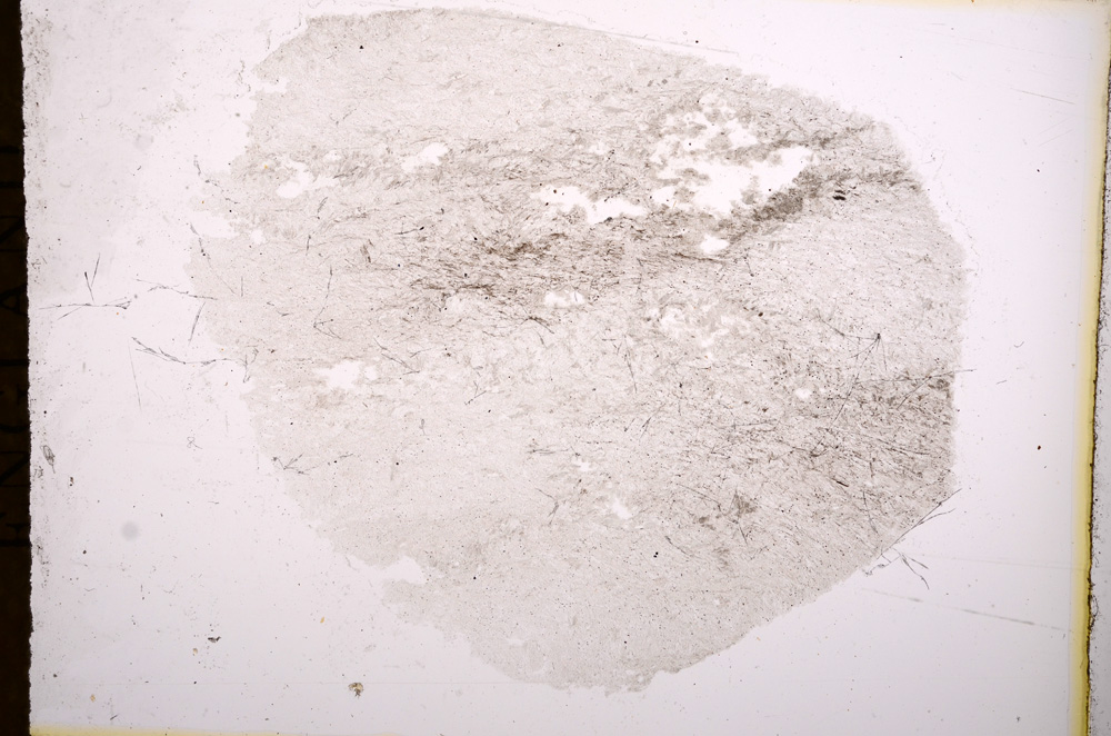 Plane Polarized, E5053