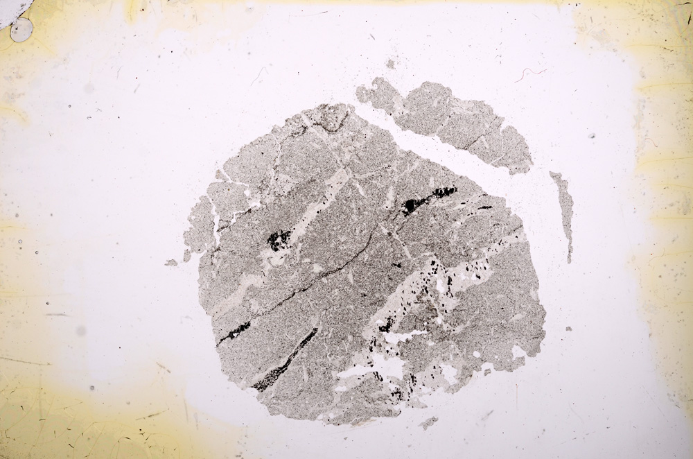 Plane Polarized, E5092