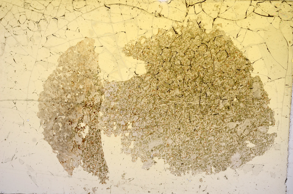 Plane Polarized, E5055