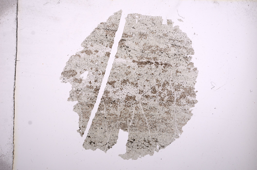 Plane Polarized, E5119