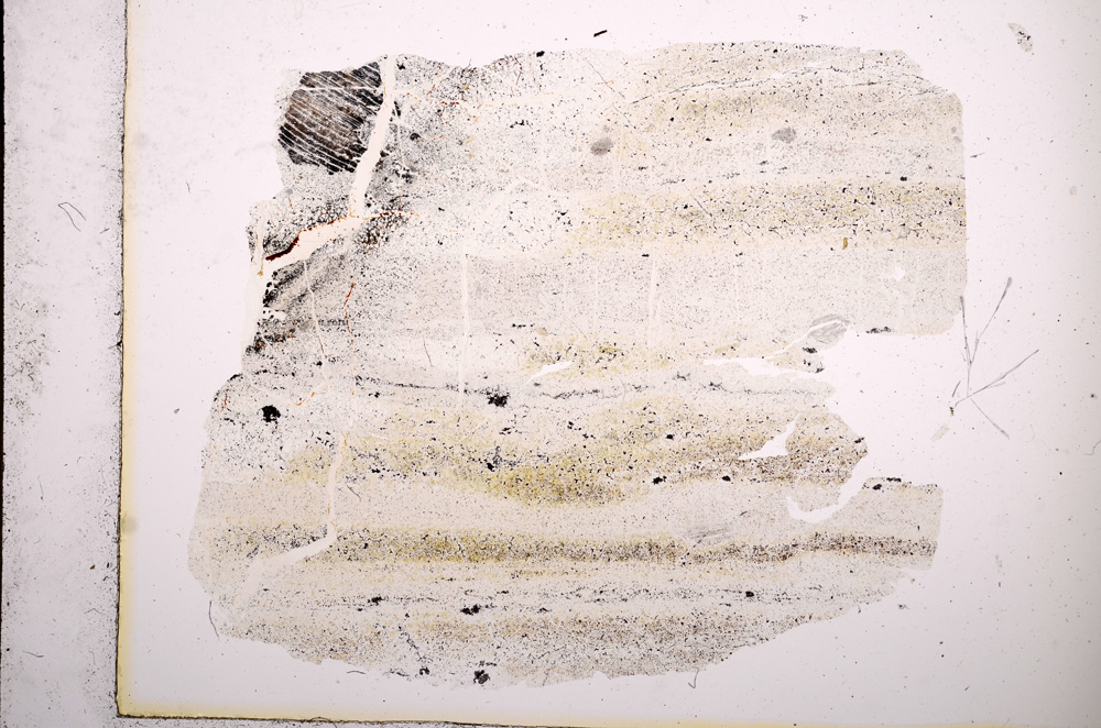 Plane Polarized, E5142