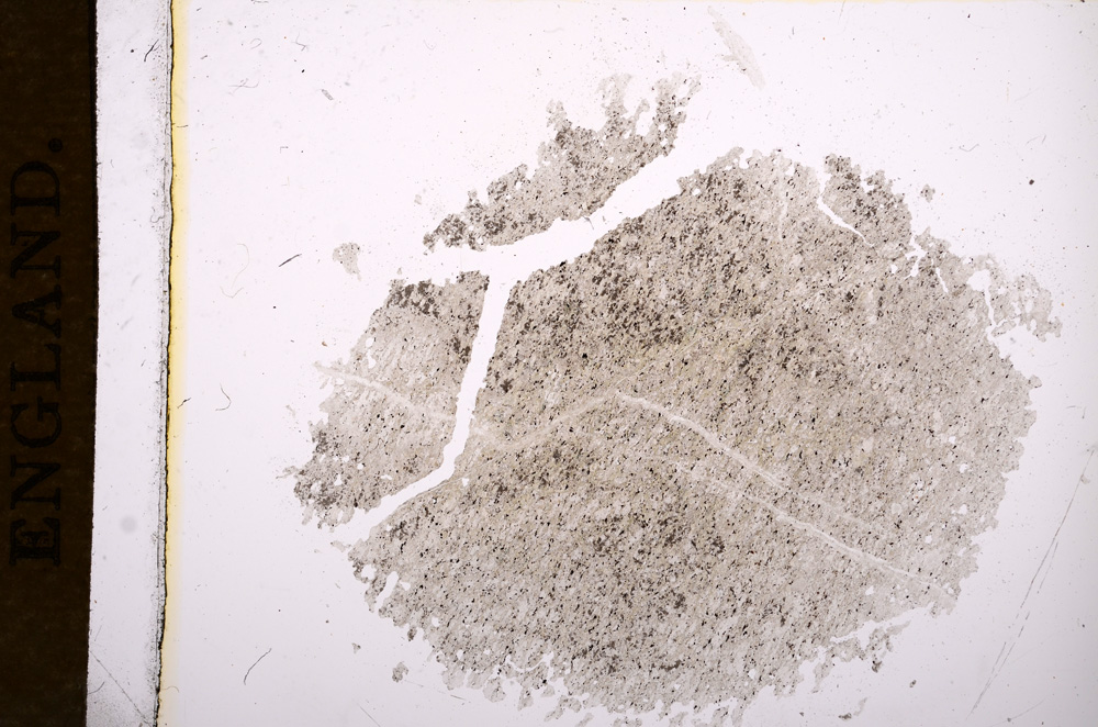 Plane Polarized, E5161