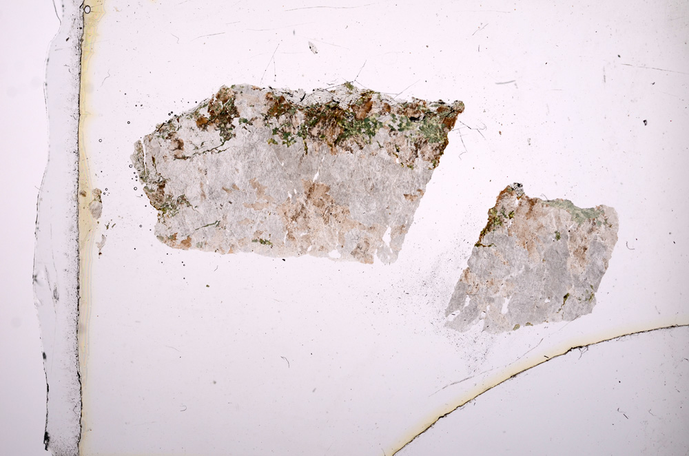 Plane Polarized, E5162