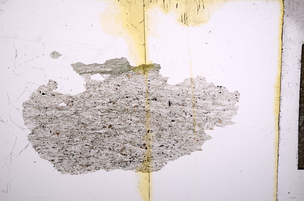 Plane Polarized, E5193