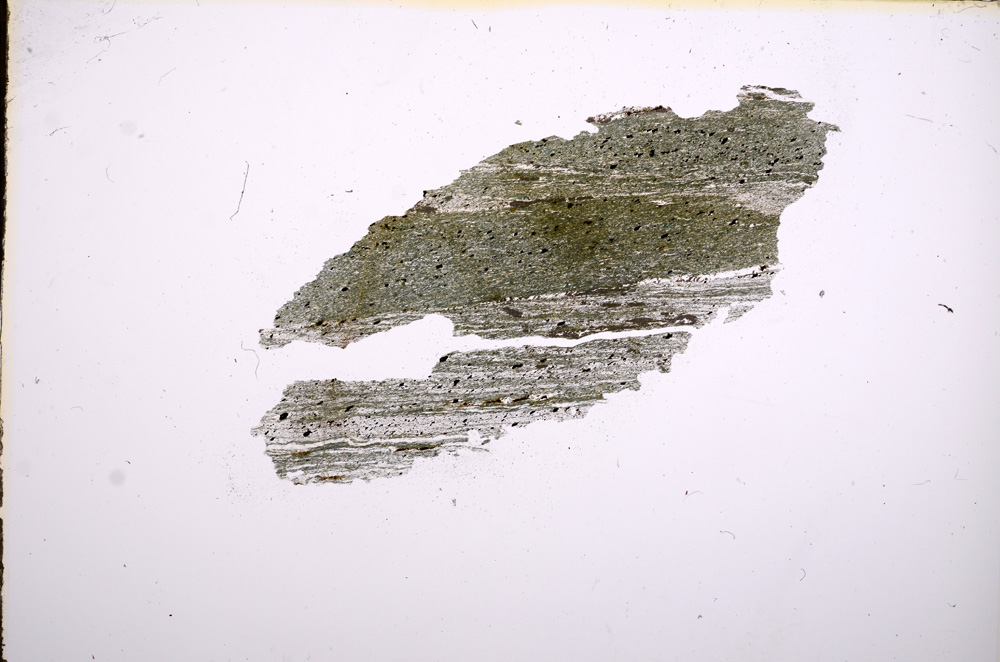 Plane Polarized, E5199