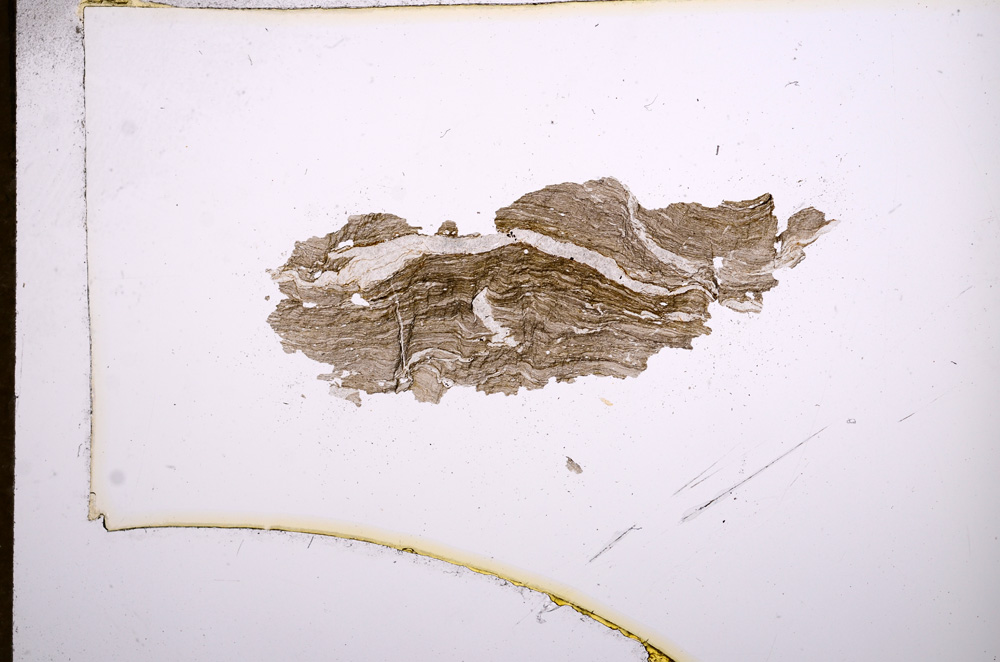 Plane Polarized, E5213