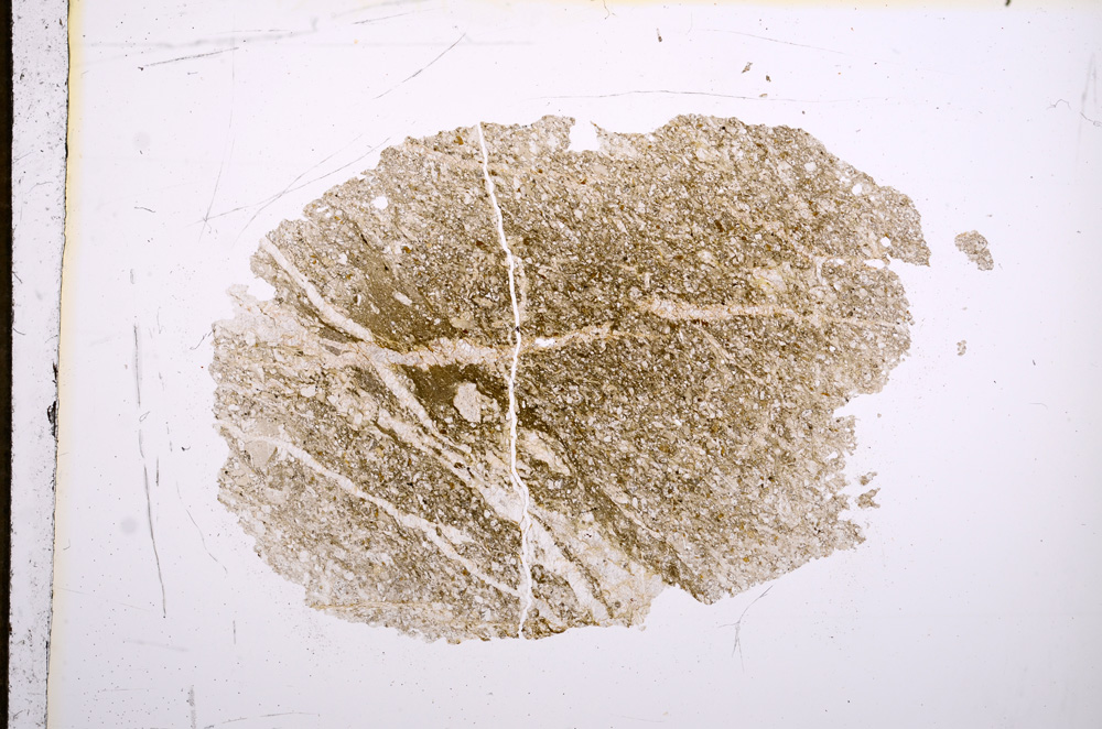 Plane Polarized, E5217