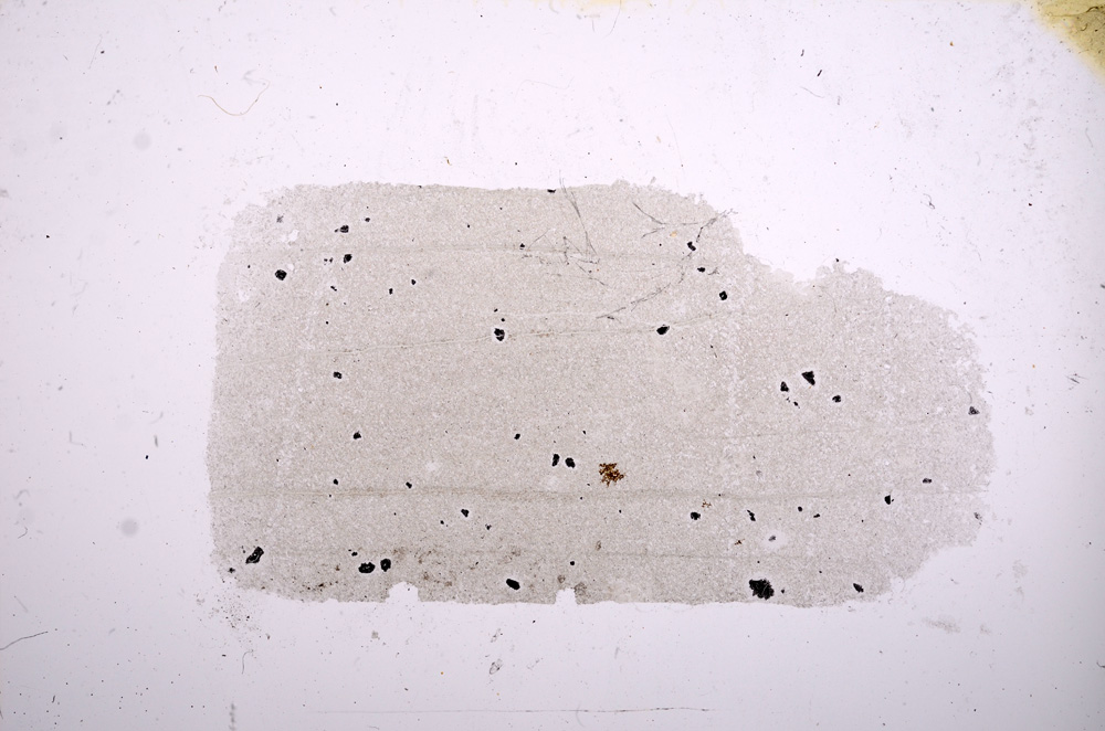 Plane Polarized, E5242