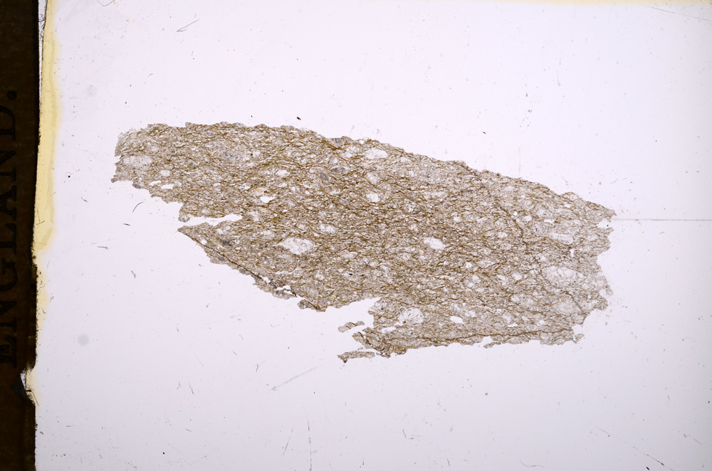 Plane Polarized, E5273