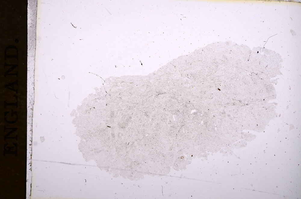 Plane Polarized, E5323