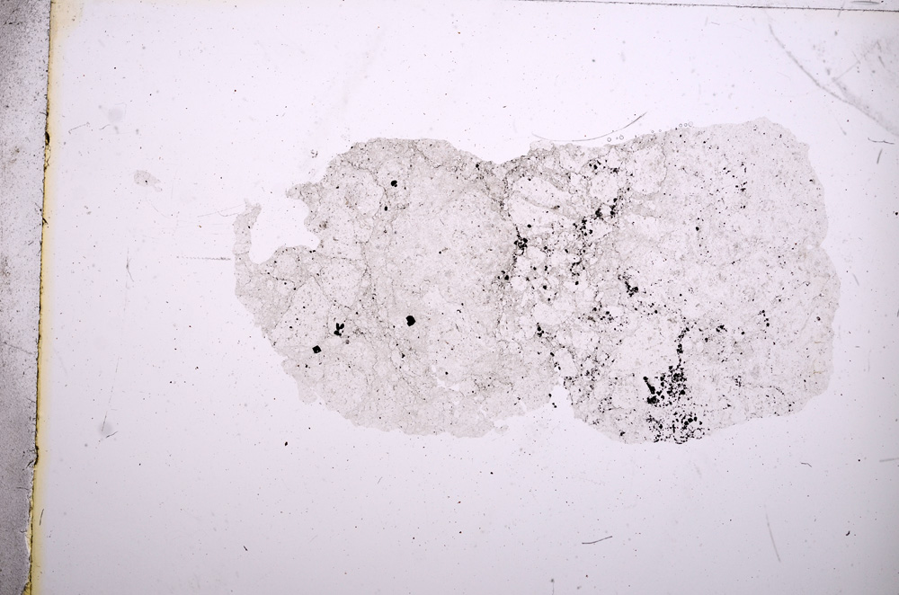 Plane Polarized, E5325